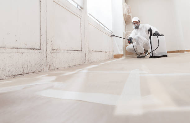 24/7 Emergency Crawl Space Mold Remediation experts in Lancaster, KY