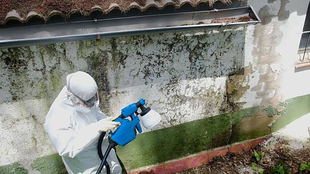 Top rated local Crawl Space Mold Remediation specialists in Lancaster, KY